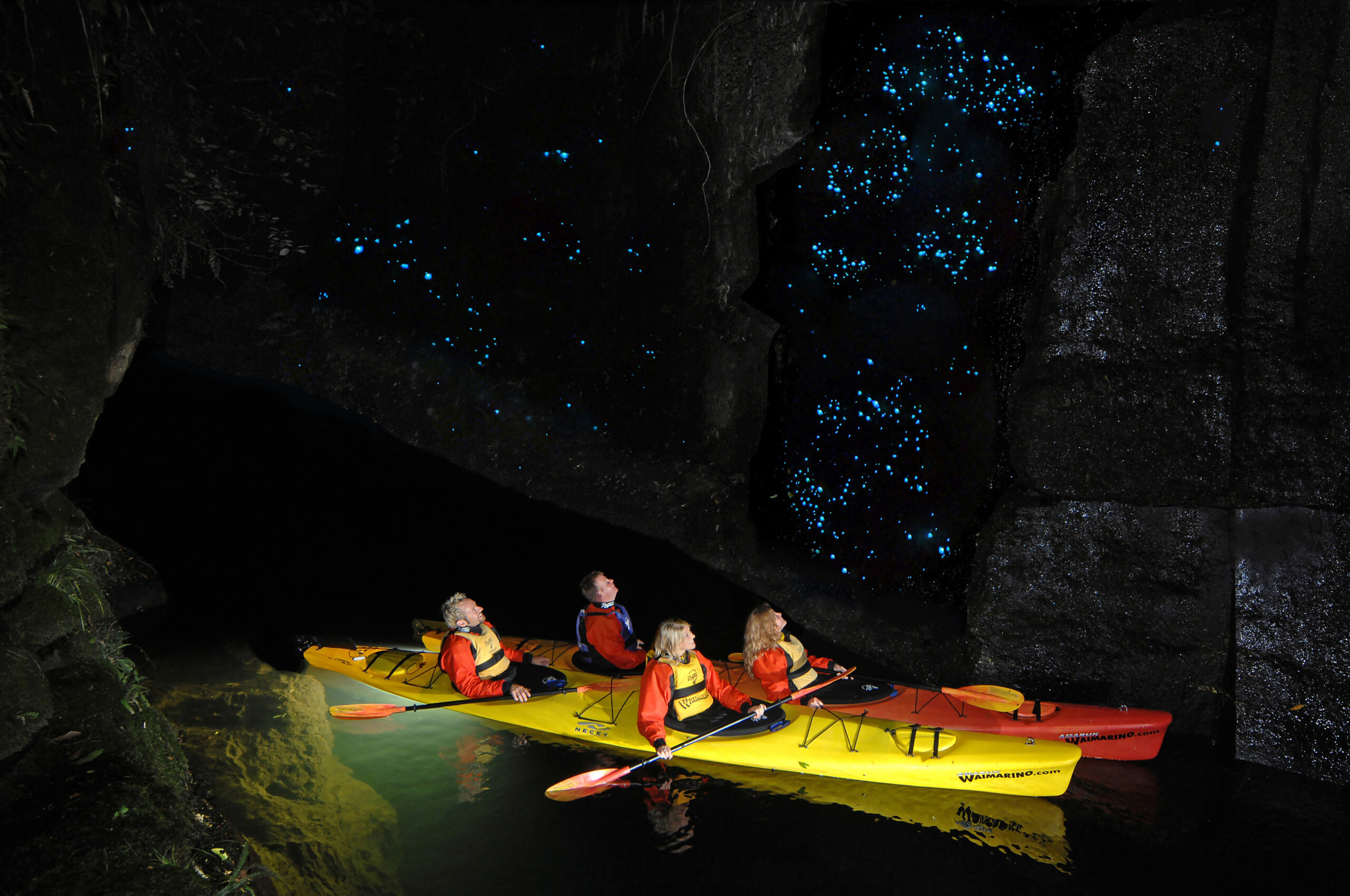 4 people kayaking through the glowworm tunnel near Lake McLaren
