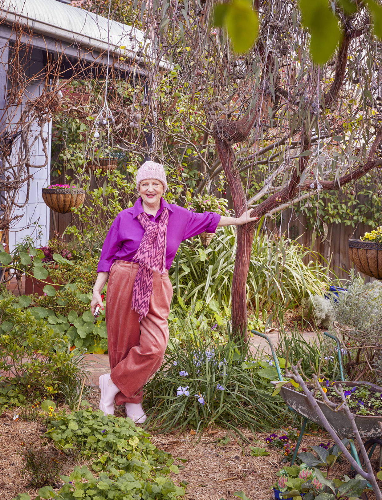 denise scott