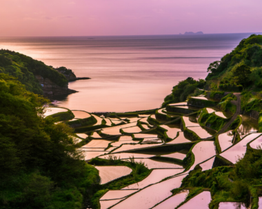 The setting sun reflects on the rice fields of Hamanoura Tanada