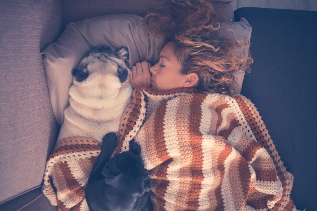 young beautiful caucasian ethnicity woman and two pretty dog pug to represent sleeping with pets.