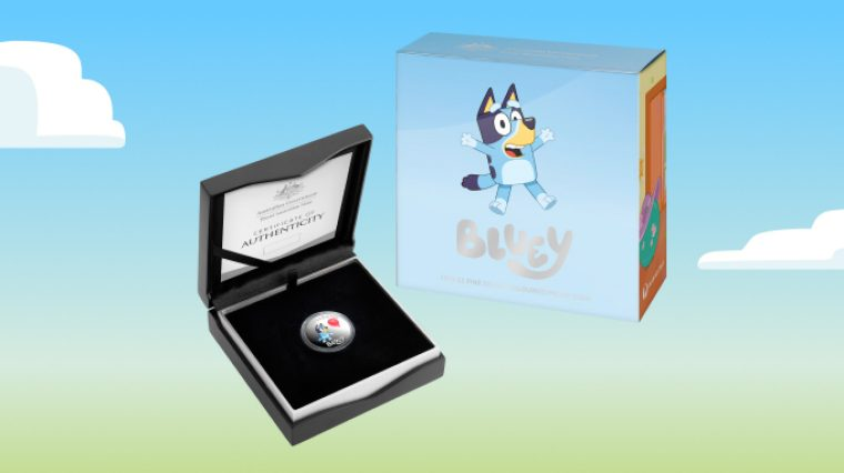 bluey coins