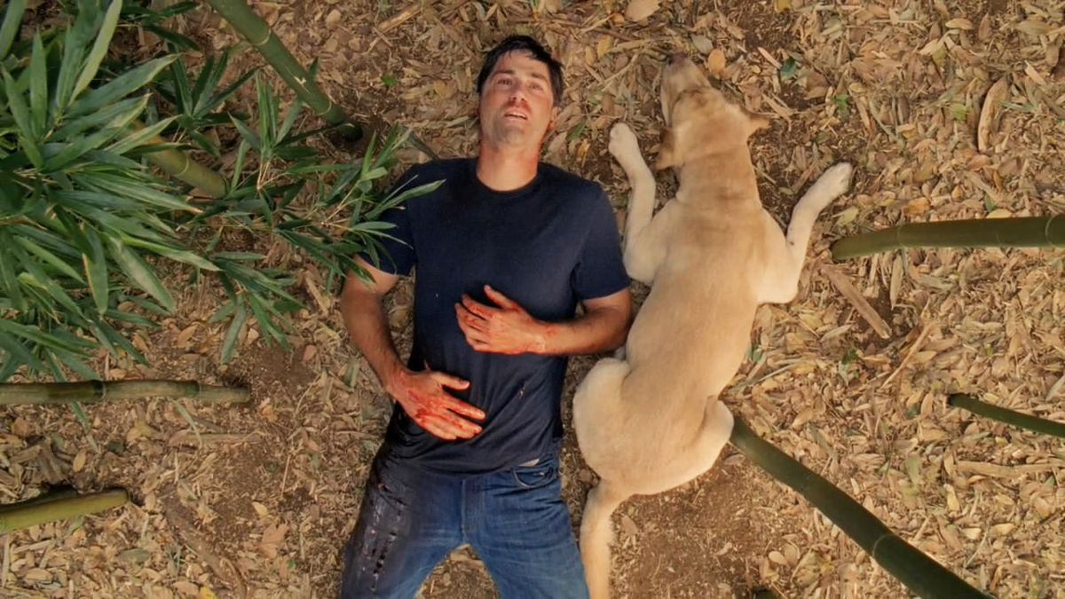 a still from the lost finale