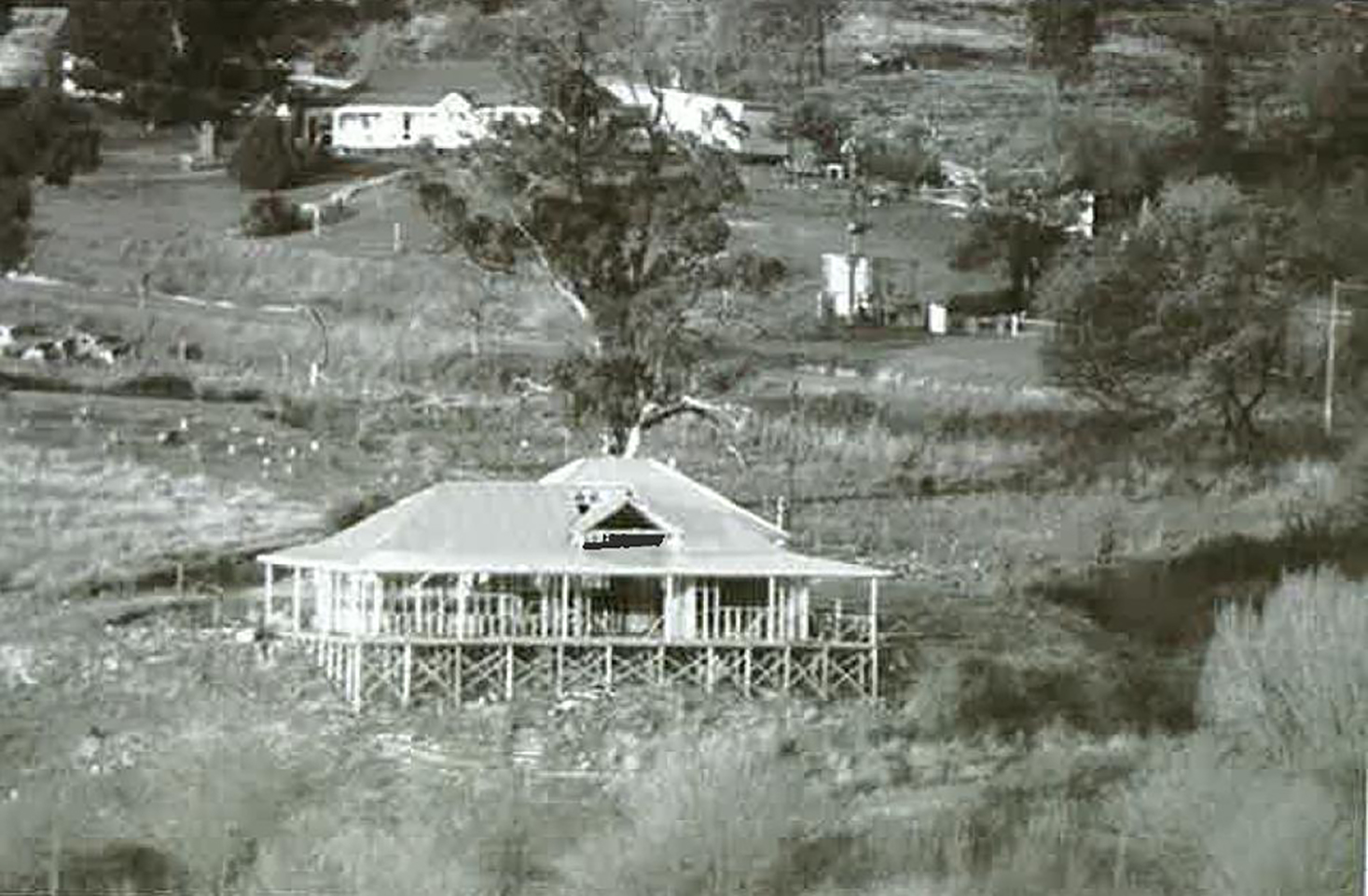 An old black and white photograph of Lake House in the very early stages of renovation. The bare hillside is dotted with Alla Wolf-Tasker and her mother's tree plantings.