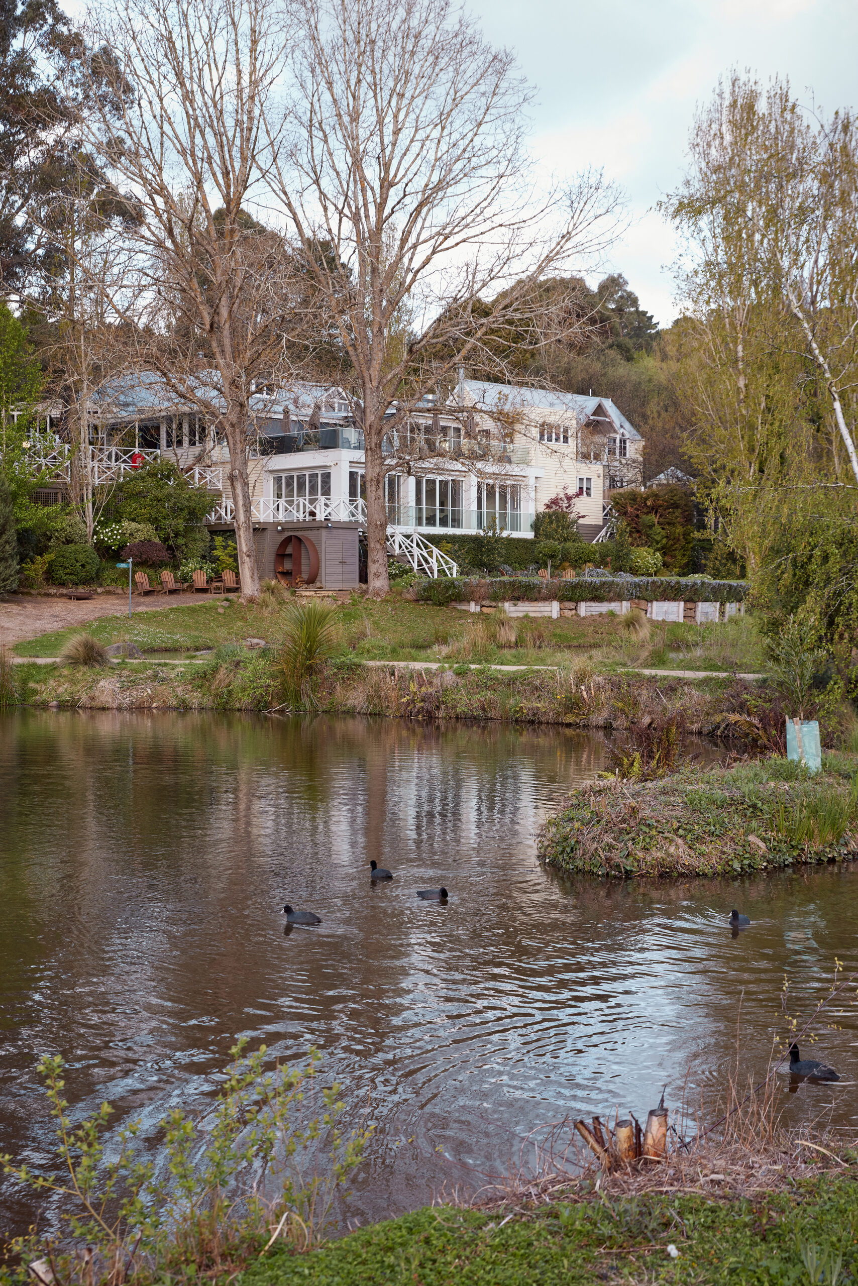 Alla Wolf-Tasker's Lake House today. The original building is now an elegant restaurant and library. The garden features established trees and flowering shrubs. In the foreground is the lake on which ducks and water birds swim.