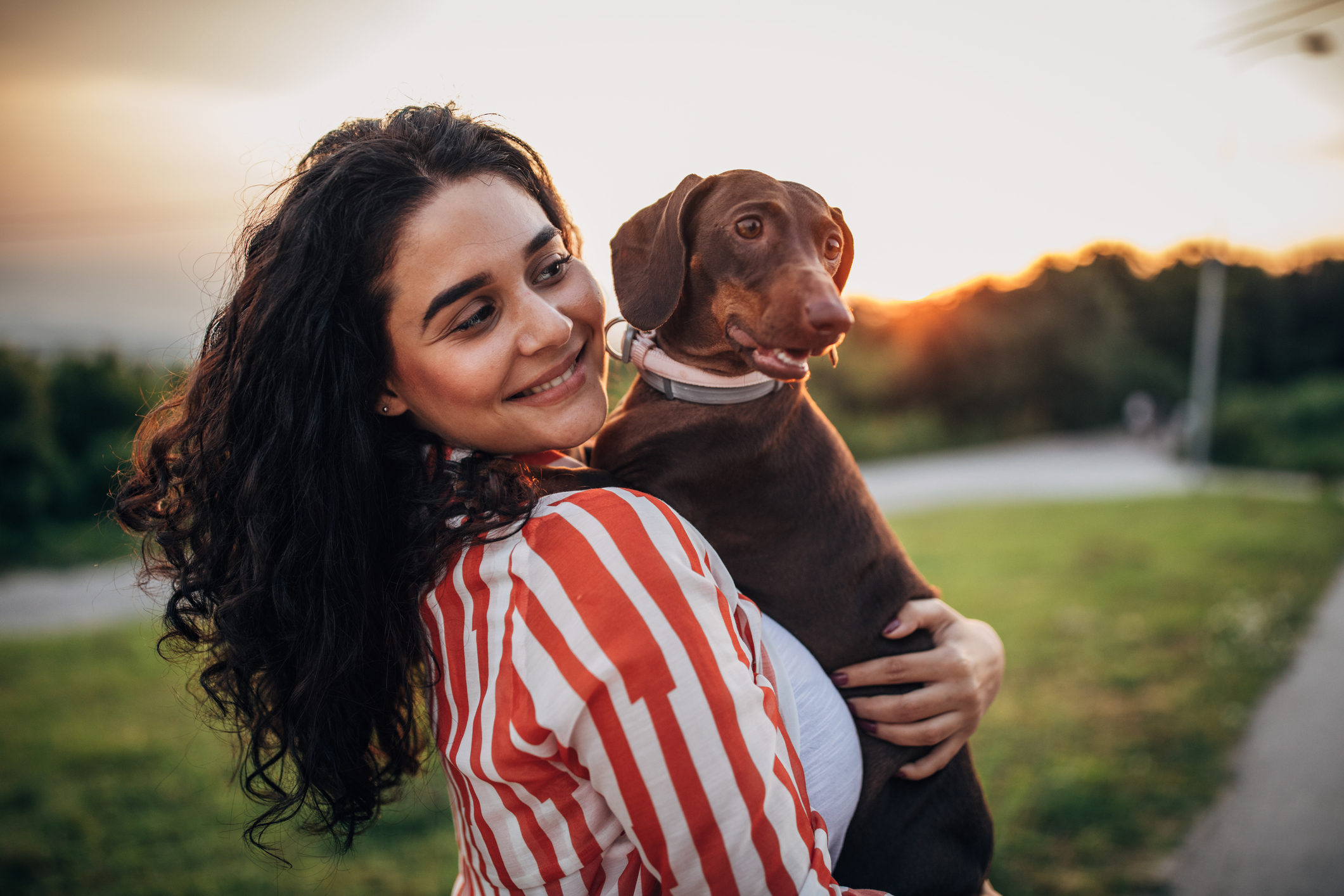 dogs mental health: what does can teach us about being mindful and present